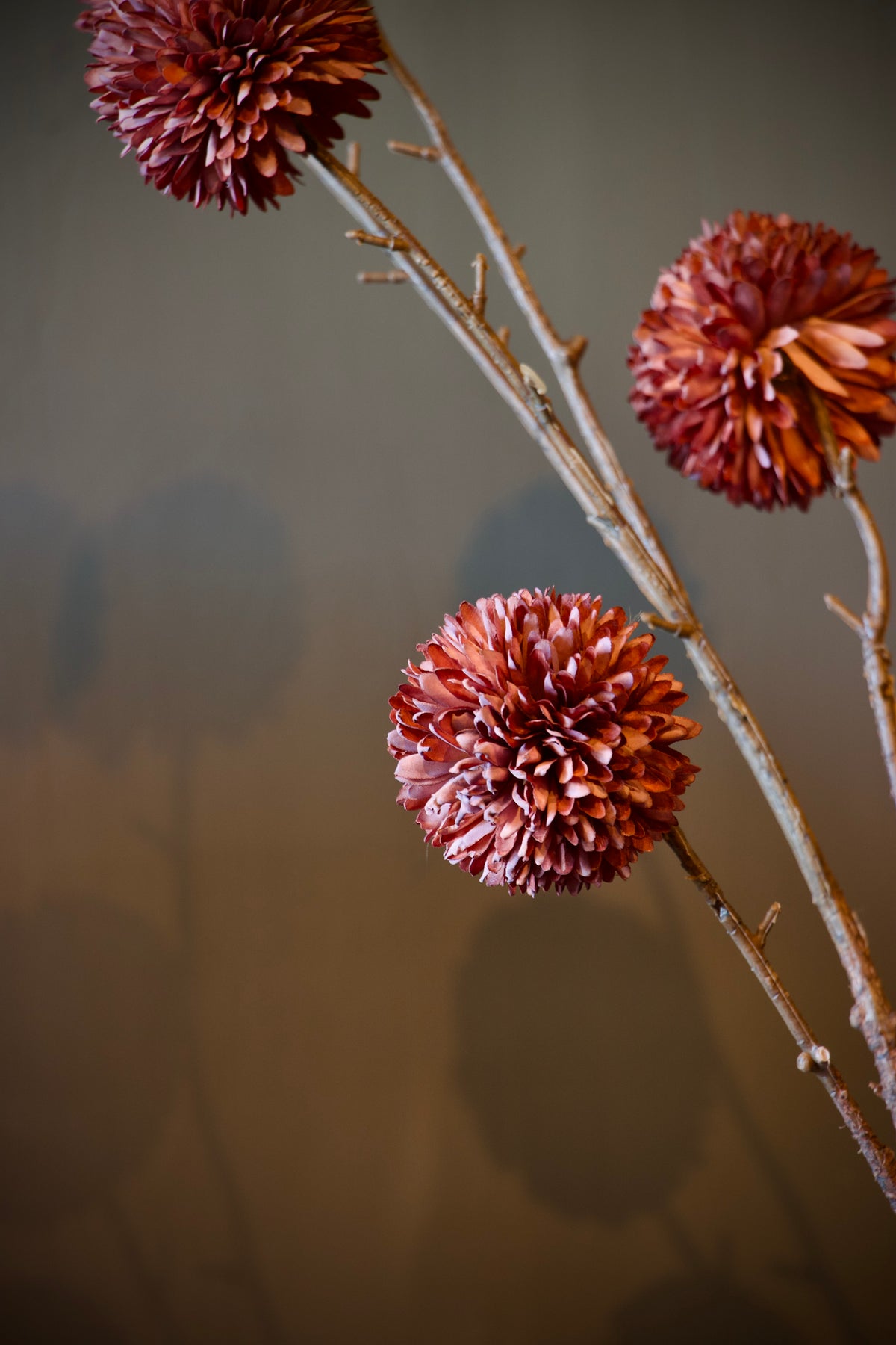 Chrysanthemum Grande Licht Paars - 90 cm