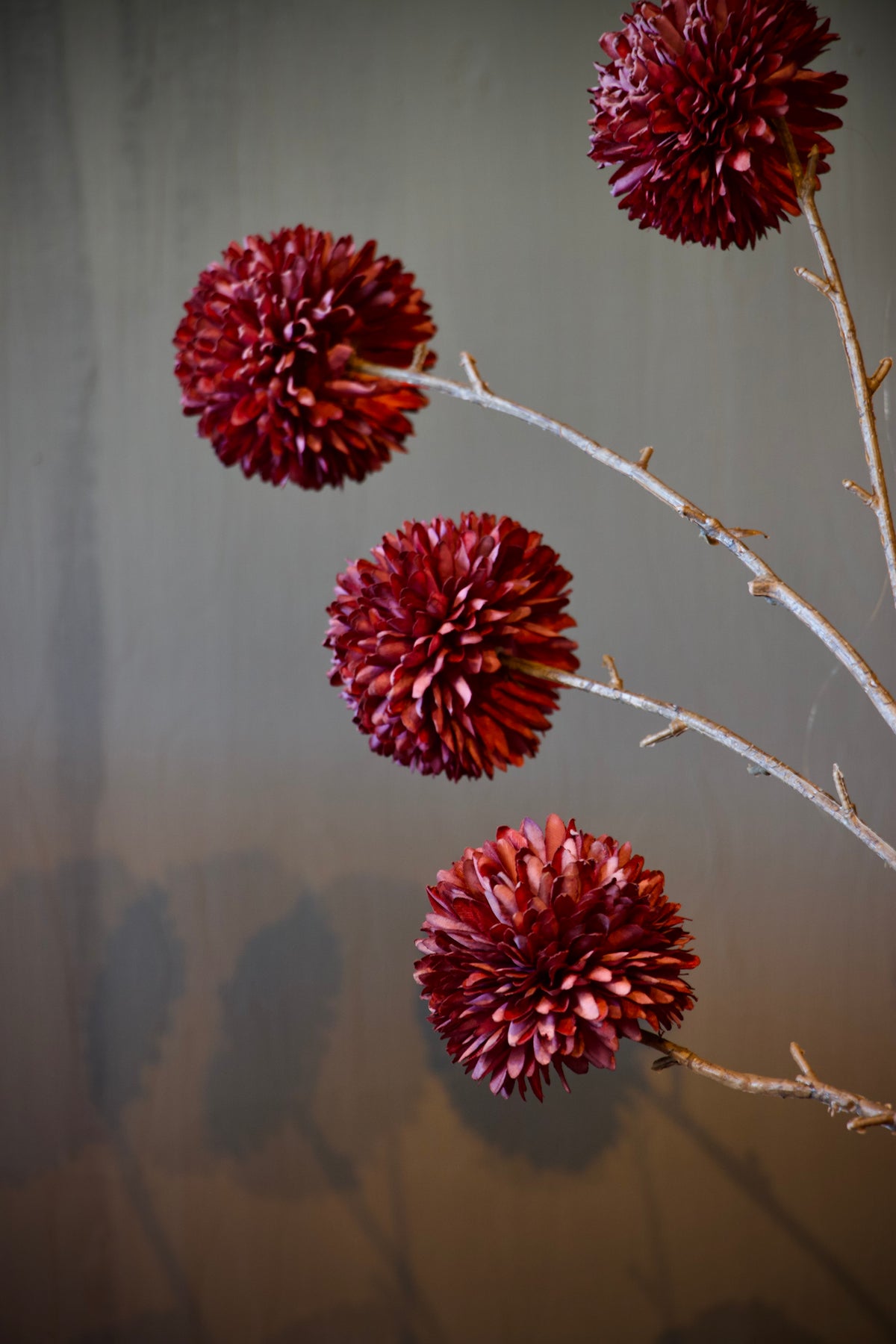 Chrysanthemum Grande Donker Paars - 90 cm