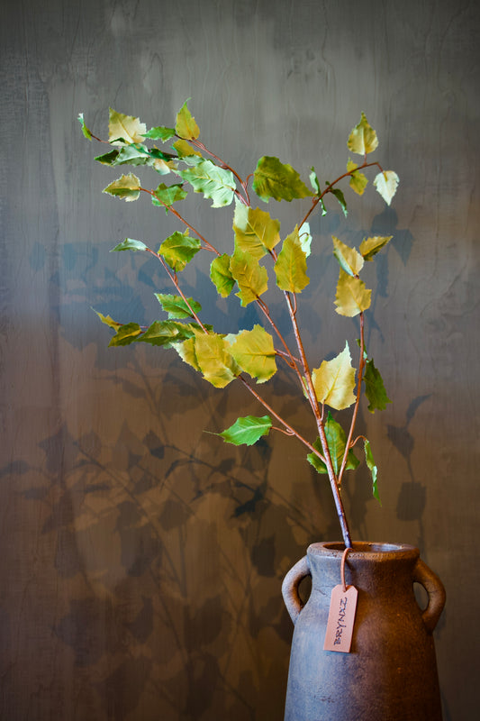 Betalu Tak Groen - 118 cm