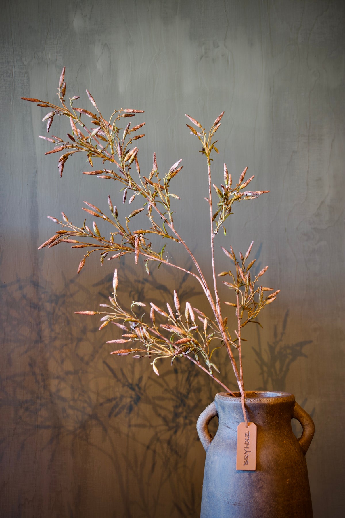 Dictamnus Tak Roze - 100 cm