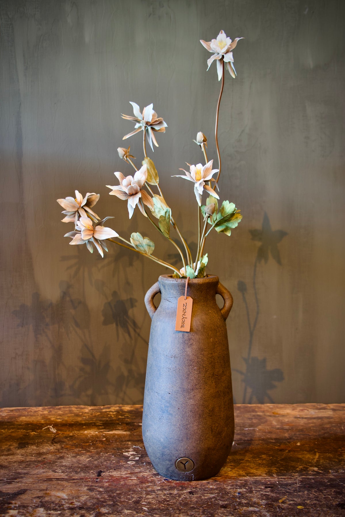 Aquilegia Off White - 80 cm