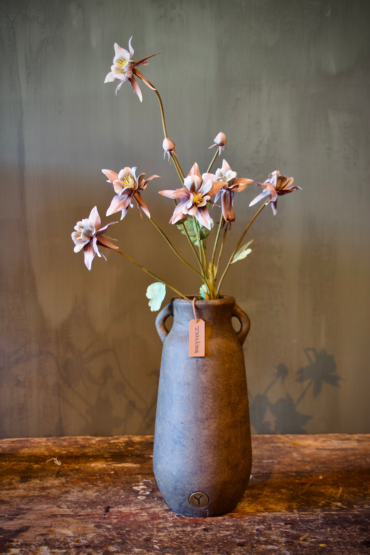Aquilegia Purple - 80 cm